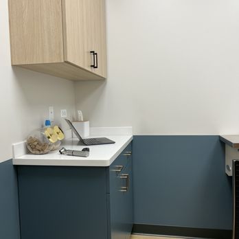 Ivy Veterinary Care - Exam Room 1 - Veterinarians Near Me - Chicago, Illinois