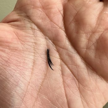 Mini Lash - Eyelash Service Near Me - South Pasadena, California Mini Lash - Eyelash Service Near Me - South Pasadena, California