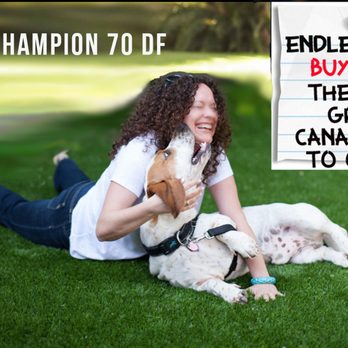 Design Turf Inc - a woman laying on the grass with two dogs - Home & Garden Near Me - Markham, Ontario Design Turf Inc - a woman laying on the grass with two dogs - Home & Garden Near Me - Markham, Ontario