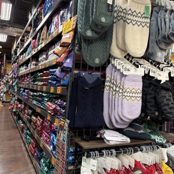 Hollywood Feed - Pet Stores Near Me - Roswell, Georgia