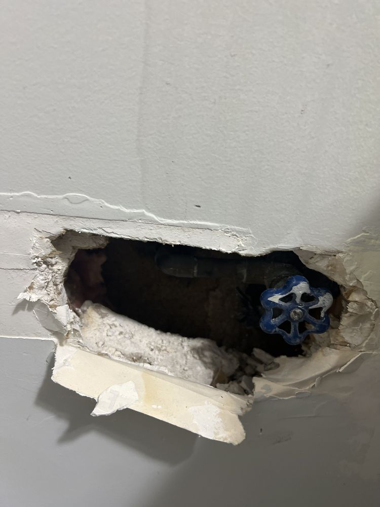 Slide of Plumb Crazy