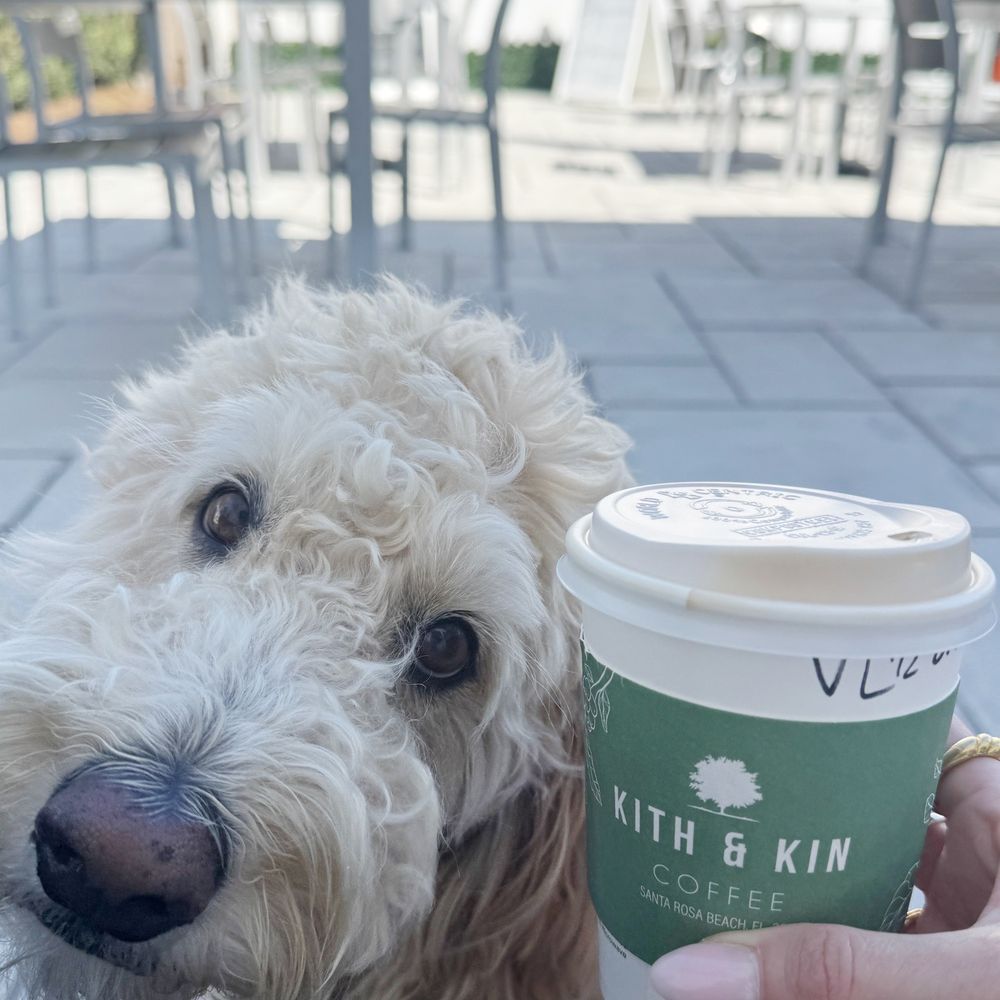 A great spot for dog owners to grab their coffee at! :) It's all outdoor patio seating which we love. A great spot for dog owners to grab their coffee at! :) It's all outdoor patio seating which we love.