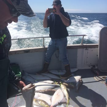 Alaska Coastal Marine - Boat Charters Near Me - Homer, Alaska Alaska Coastal Marine - Boat Charters Near Me - Homer, Alaska