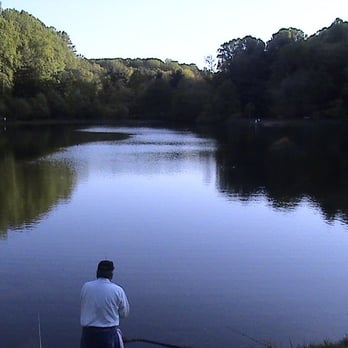 Brookside Gardens  - Lot of fish in that lake - Botanical Gardens Near Me - Wheaton, Maryland