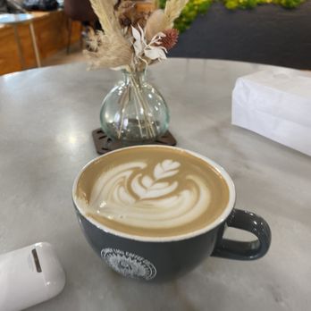 Dandy Lion Coffee - Coffee & Tea Near Me - Denver, Colorado Dandy Lion Coffee - Coffee & Tea Near Me - Denver, Colorado