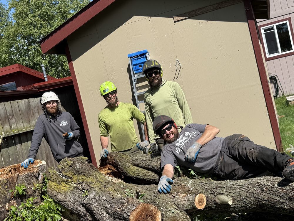 Boreal Tree Care - tree service in Anchorage, AK
