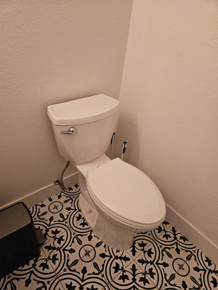 Slide of Drain Terrier