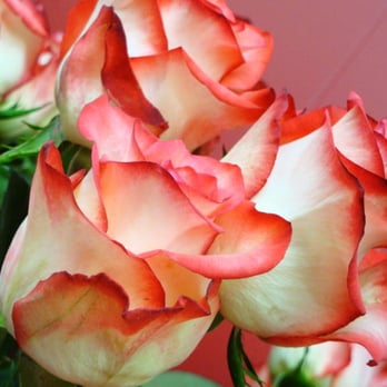 Blumen Erika Dörr - Florists Near Me - Hamburg, HH Blumen Erika Dörr - Florists Near Me - Hamburg, HH