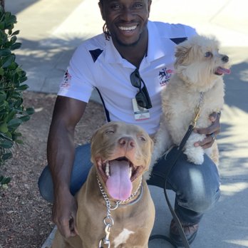 The K9 Professor - Archer with Emmanuel on our last training session. - Pet Training Near Me