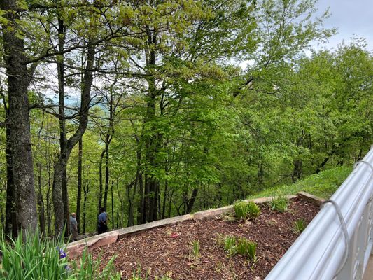 Art of Living Retreat Center by null