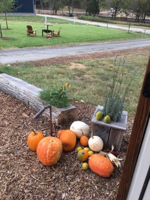 Southall Farm & Inn Farmstand by null