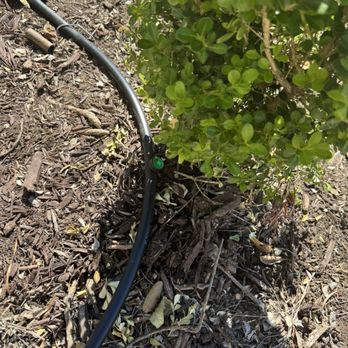 Adans Irrigation Repair - Drip system. - Irrigation Near Me Adans Irrigation Repair - Drip system. - Irrigation Near Me