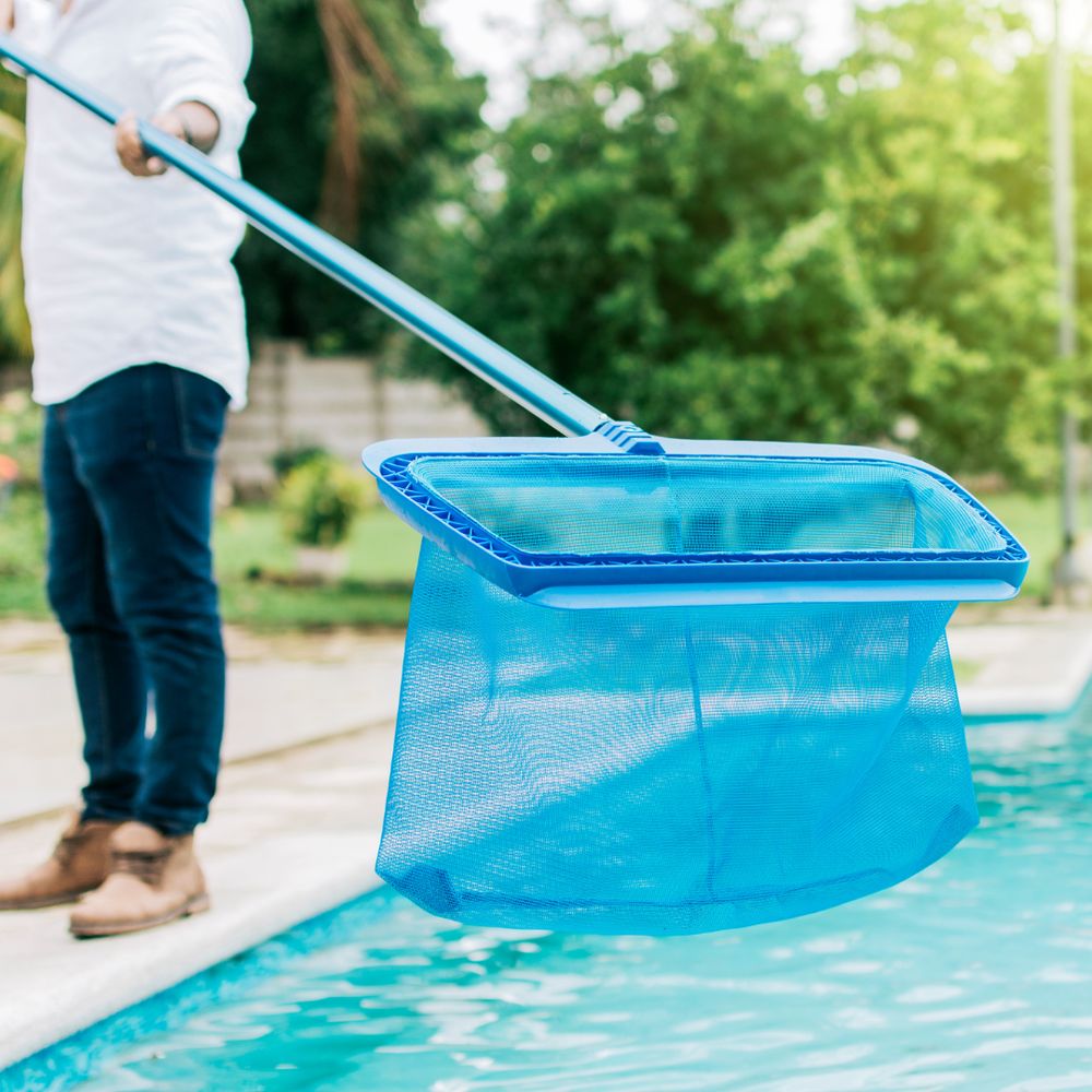 ALL POOL AQUATICS GROUP Updated August 2024 61 Photos & 18 Reviews