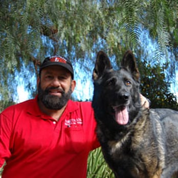 Pro-Train - Pet Training Near Me - Vista, California Pro-Train - Pet Training Near Me - Vista, California