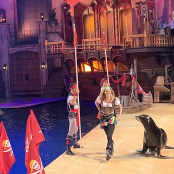 Pirates Voyage Dinner & Show - Salty the Seal was our favorite! - Stadiums & Arenas Near Me - Pigeon Forge, Tennessee Pirates Voyage Dinner & Show - Salty the Seal was our favorite! - Stadiums & Arenas Near Me - Pigeon Forge, Tennessee