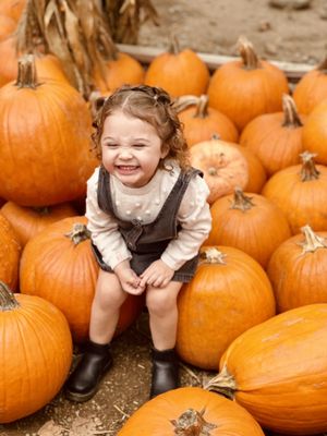 Irvine Regional Park by null