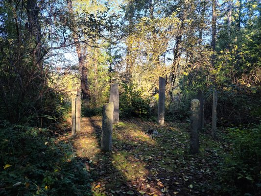 Earth Sanctuary by null