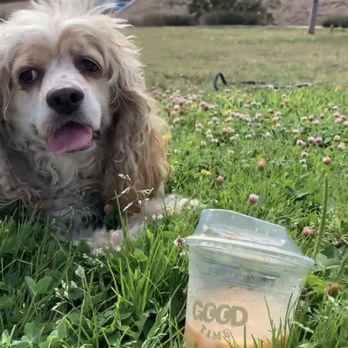 Good Time - Pet friendly location! Always bring my pup. - Coffee & Tea Near Me - Long Beach, California