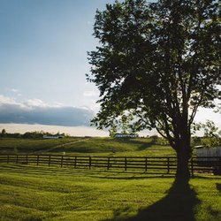 Meadow Lake Equestrian Center