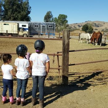 Jeanette Arnaout Training - Horseback Riding Near Me - Gilroy, California Jeanette Arnaout Training - Horseback Riding Near Me - Gilroy, California