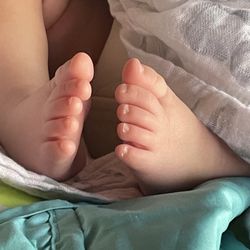 Sedona Nanny