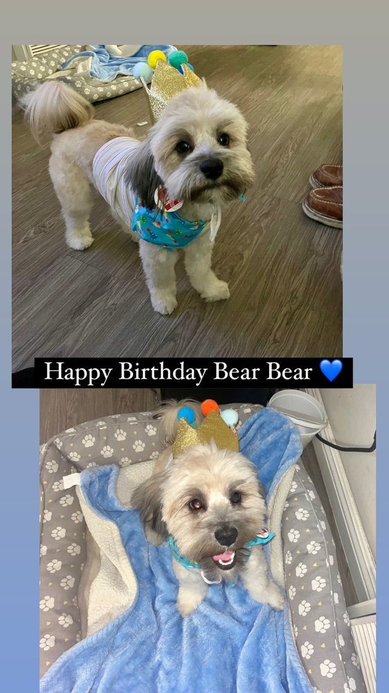 CHARLIE’S GROOMING DOG AND CAT Updated October 2024 28 Photos & 30