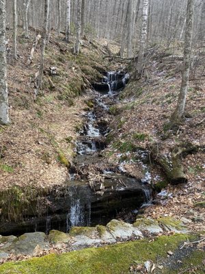 Mount Greylock State Reservation by null