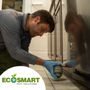 Photo of EcoSmart Pest Solutions