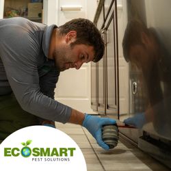 EcoSmart Pest Solutions - Residential Kitchen Pest Treatment