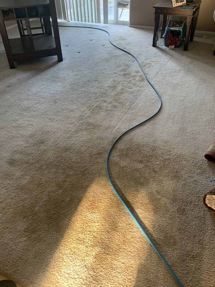 S5 CARPET & TILE CLEANING Updated September 2024 101 Photos & 34