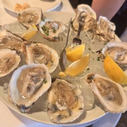 Oysters