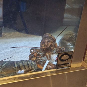 Red Lobster - Live Lobster Tank - Seafood Near Me - Ontario, California