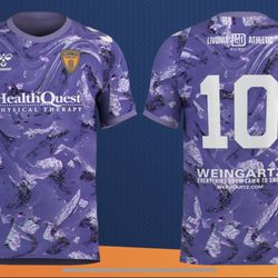 HealthQuest Physical Therapy - Novi - Livonia City FC - Reserve Template