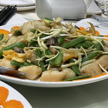 Ming Seafood Restaurant - Scallops and sea conch - Seafood Near Me - Quincy, Massachusetts Ming Seafood Restaurant - Scallops and sea conch - Seafood Near Me - Quincy, Massachusetts