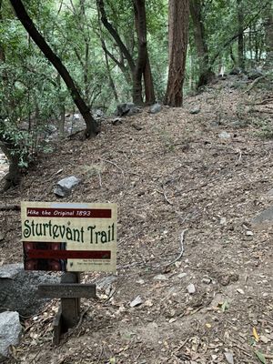 Sturtevant Camp by null