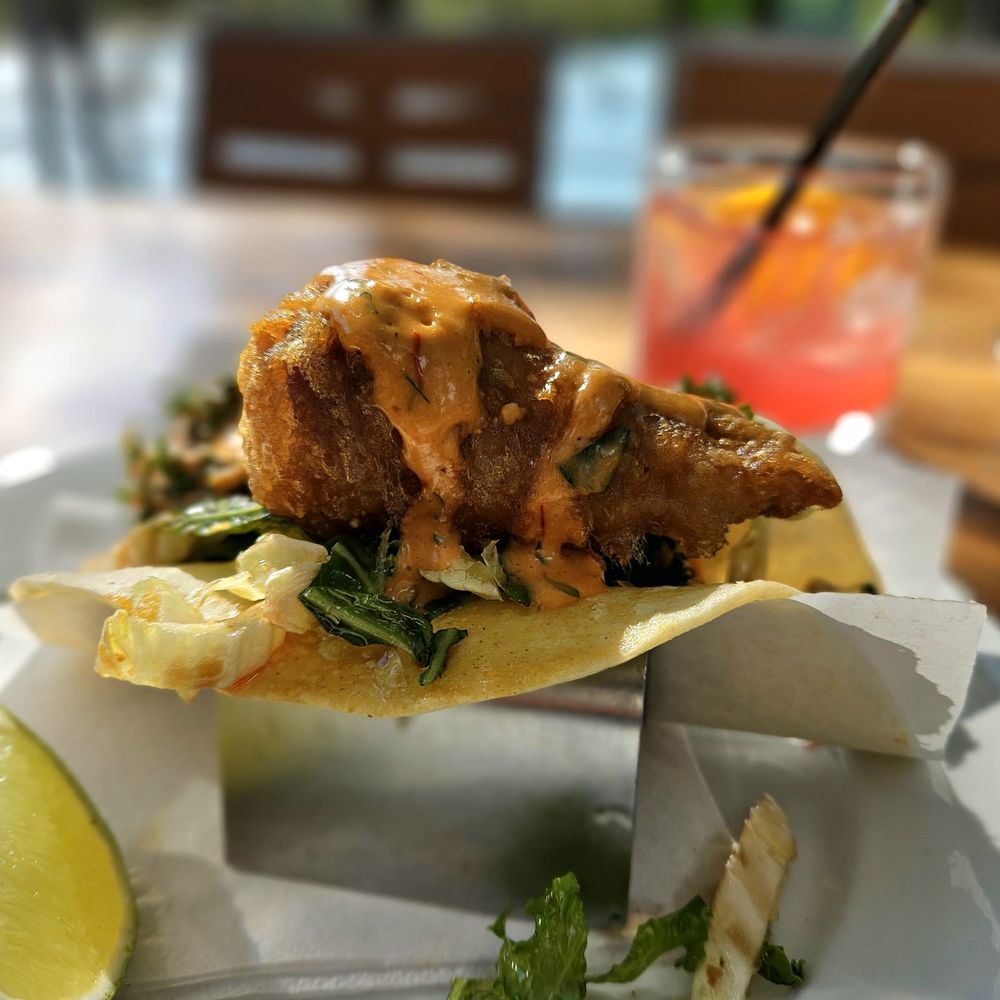 Roaring Fork - New American Near Me - Austin, Texas