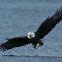 Photo of Maritime Adventure Charters SOMD