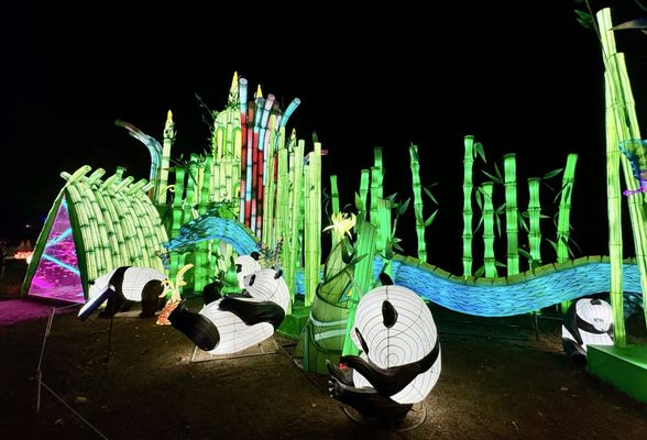 Four Mile Historic Park by null