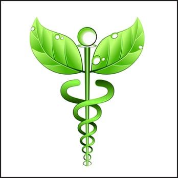 Bridget Fitzgibbons, NMD - Natural Medicine & Fitness - Naturopathic/Holistic Near Me - Scottsdale, Arizona Bridget Fitzgibbons, NMD - Natural Medicine & Fitness - Naturopathic/Holistic Near Me - Scottsdale, Arizona