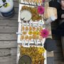 Photo of Fiji Fusion Cuisine