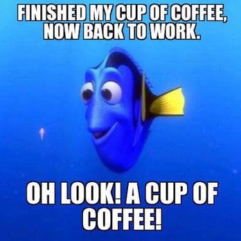 Cattle Dog Coffee Roasters - Coffee & Tea Near Me - Inverness, Florida