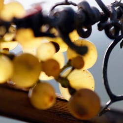 Weingut Koehler-Ruprecht