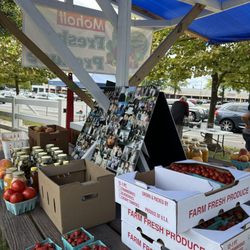 Moholt Fresh Produce