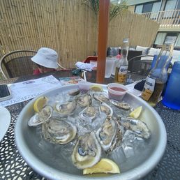 Oysters Oysters