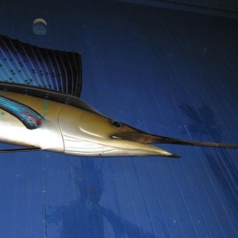 Merchant's Saloon - This is Manny the Merchants Marlin he is the Mascot of Merchants. - Dive Bars Near Me - Oakland, California Merchant's Saloon - This is Manny the Merchants Marlin he is the Mascot of Merchants. - Dive Bars Near Me - Oakland, California