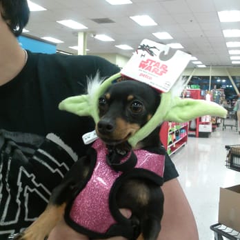 Petco - Pet Stores Near Me - Glendale, California Petco - Pet Stores Near Me - Glendale, California