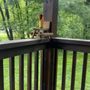 Photo of Mohican Adventures