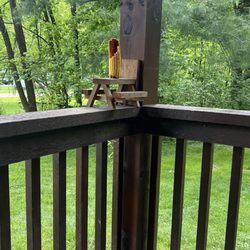 Mohican Adventures