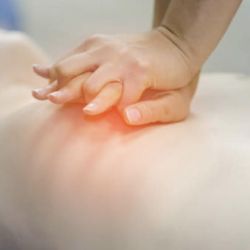 A Humble Heart Training Center