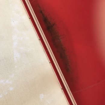 Six Flags Hurricane Harbor - Black mold on cabana ceiling - Water Parks Near Me - Glendale, Arizona